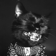 кошка