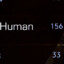 Human 156
