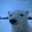 Polar𒉭