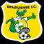 Brasiliense Futebol Clube