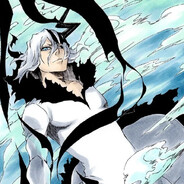 ZANGETSU |  SKINS