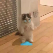 Big Avatar