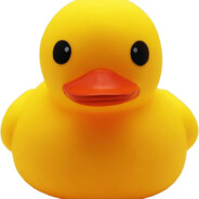 rubber duck