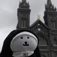 熊每天都淡淡的