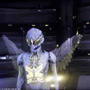 Feherlevel_Aranygyongyszem