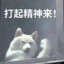 不见玫瑰开花