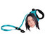 Billie a leash