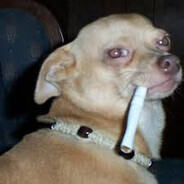 Чеченский КсиЛен