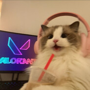 假装正经林黛玉