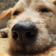 乖巧宝宝姚鸿源