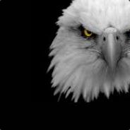 The Invincible - steam id 76561197960501925