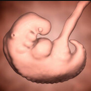 Эмбрион 4 неделя