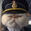 Admiral   Cat CSGOSKINS