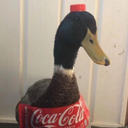 ♕RødCola♕