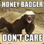 Honey Badger Don&#039;t Care™