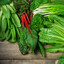 leafy Vegetable