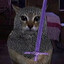 the majestic knight cat