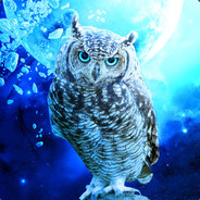 Mr_Owlet