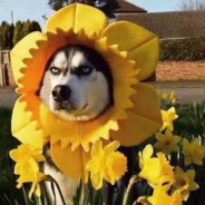 一天不导积阳德，两天不导积积阳阳德