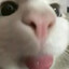 Yy