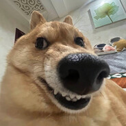 Heezy
