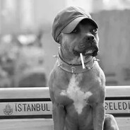 Berkan avatar