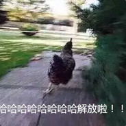 理塘最強伝説と絕兇の猛虎！純真丁一郎です！