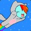 WIIIIIII NyaN PoNy