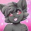 zonai cat