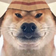 魅力人妻壮壮妈