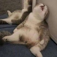 上号前喝了二两