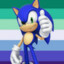 Sonic the Gayhog