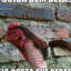 Bolsogalo