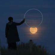 艺恒不是她的猫