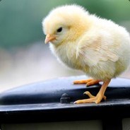 打我没有小丁丁