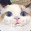 小香猪宝贝