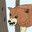 woof