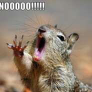 I try, but it's not enough