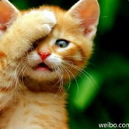 马枪不是很正常？