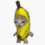 stinky cat