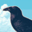 RavenMother