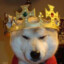 KingShibe