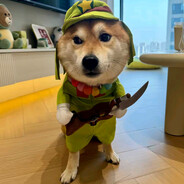 带上吉吉去逃避