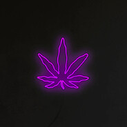 PurpleHaze