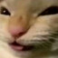 лузаки(she make it clap)'s avatar