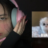 Анжела Люля-кебаб