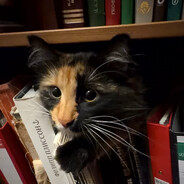 Weserty