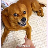 xiao pang