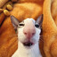 El Gato Degenerato SpermoGlotato