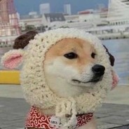 超级无敌究极暴龙战神